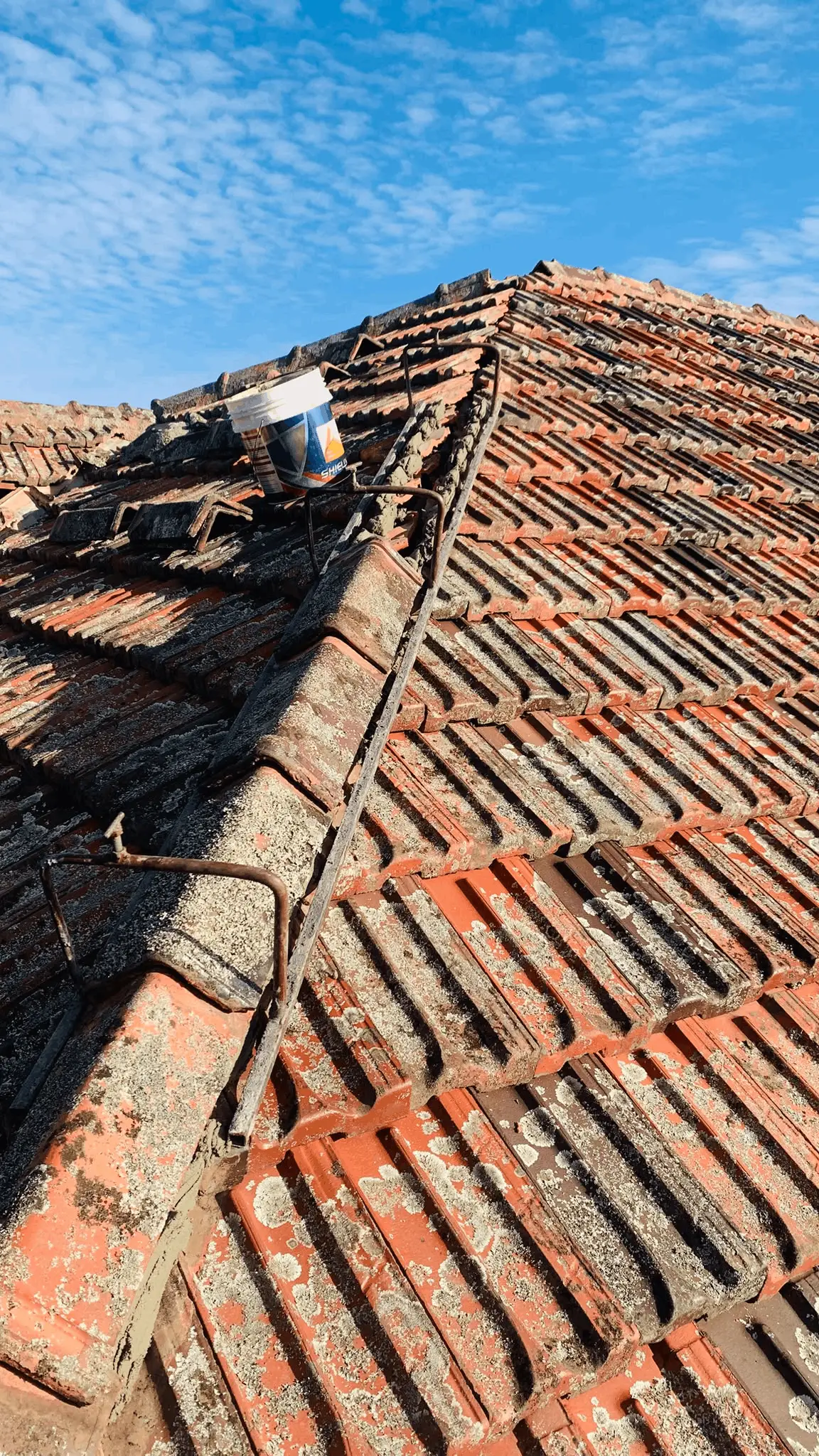 Roof Ridge Cap Rebedding