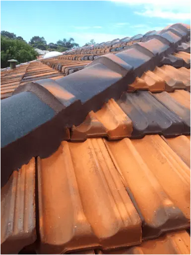 Roof Ridge Cap Repointing
